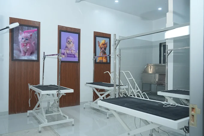 Premium Pet Hospital Interior