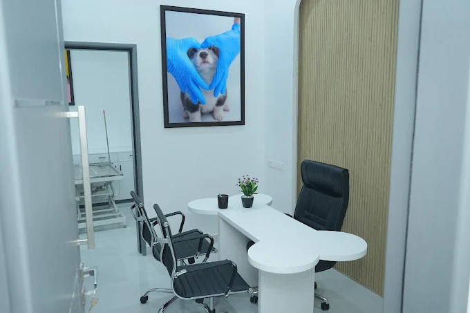 Consultation & Diagnostics Area